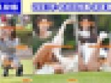 vol.616：2021年 お花見特集 第８弾