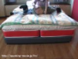 FM-Gallery８