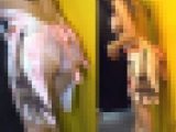 高画質 透けパンツに裸エプロン横乳はみ出しキャンギャル
