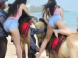 2K動画　むっちりヒップ娘の乗馬体験ｗ　B　只今、騎乗中ｗ