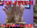 CRUSH FETISH