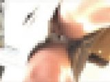 【顔出し】都会の美女のパンティセット06.07