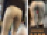 【1152】上着→茶色、パンツ→ベージュ、ブーツ→茶色…人間ティラミスぢゃん！ピチピチベージュスキニーパンツ女子(前編)