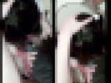 便所で精液コキ捨て口まんこじゅぽじゅぽきもちいい トイレフェラ