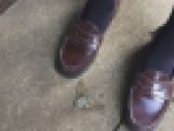 まおたん、黒タイツローファーで、セミをクラッシュするｗｗｗ