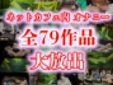【ネットカフェオナニー】79作品セット(vol.1-79)