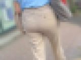 長身＋ムッチリエロボディのデカ尻！張りのあるジューシーな巨尻をたっぷりムニュらせて男を誘惑！下品なパンツスーツOL編