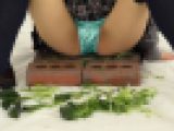 制服の女の子がパンティー履いたまま野菜をお尻でクラッシュf805