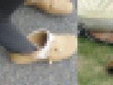 履脱ぎコレクション ３
