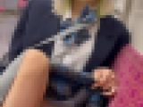 女学盗撮日記128 初登場！！派手髪の激カワ美脚J系を電車内とトイレ内で盗撮【※完全主観28分超