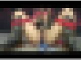 【Q-Wa】Honey Bunny #007 QHP-002-01