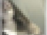 美女達の洗面所レポート おまんこからタンポンの紐が垂れグリグリ押し込むJD ほか全6名