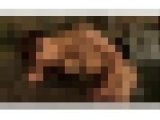 人妻たちの危ない火遊び！File.4