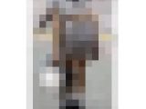 《人気あり過ぎだろ！突然の乳揺らしで魅了する美巨乳モデル》