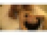 エロエロオーラ出しまくりの人妻ナンパ中出し！File.6