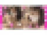 【半額】お育ちの良いFカップ爆乳たまごちゃん！屈託の無いロミ笑顔が眩しすぎるから絶対ダメでも中出し決定！ドク中出汚れろ映像