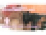 【総集編23】【2時間30分越え!】濃厚な顔鼻舐めとベロキスをしながら、極上の名器と腰使いで1週間溜めた精子を搾り取る、淫乱吸精