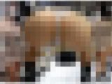 【ノーブラ乳首透け】勃起乳首×鬼食い込みTバックを完全開放!!ド変態美女の激シコ仕草連発でフル勃起不可避!!