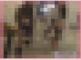 【再販】カラ援撮影会 1-3