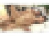 極太チンポの猛烈刺激に身震いするほどイキまくる奥様の膣内に、どっぷり生臭い精子を大量に注ぎ込む中出しセックス　Part 3