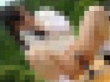 ◆素人投稿動画 ハイビジョン(HD)「露出は初めてですけど頑張ります」めちゃカワイイ女子大生の野外露出とセックス 【Part.0