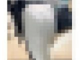 《Tラインがエロい！大人の色気が半端ないセレブキャリアウーマン》