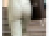《プリップリ！パンツからこぼれ落ちそうなほど桃尻なOL》