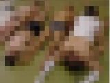 ◆素人投稿動画 ハイビジョン(HD)「精子なんて余裕で飲めますよ」カワイイ女子大生が大量の精子を飲んでくれます 【Part.05