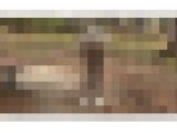 下着が透けている女性のお尻に興奮