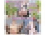 【個人撮影】目線釘付け必須❕💖巨乳ノーブラ乳首ビン立ち💖濃厚ザーメン中出し搾り&#