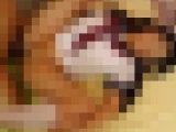 ◆素人投稿動画 ハイビジョン(HD)「コンドーム着けなくていいです」アニオタパイパン女子大生と生ハメ 【Part.07：パイパン