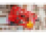 まさにアマゾネスコンビｗｗハチャメチャ　爆盛り上がりの雌達のガチ攻防戦！（完全オリジナル）