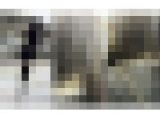 梟の痴〇報告119（夕方の最強でスタイル抜群のミニスカ私服J 〇生マン）