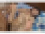 奥様の男を知り尽くした熟れた肉体が、若い肉棒に敏感に反応しまくる　Part 4
