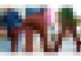 No.397ムチムチ強烈肉感がたまらないピッタピタのブラウンパンツお姉さん