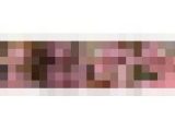 【特典動画２本付】西村ニーナのスペシャル噛みつきシリーズ1〜2まとめてDL