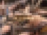 ニーハイ履いた女の子3人に足コキ搾取される