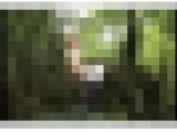 【記録映像】人妻野外浣腸　蜘蛛の巣拘束アナル責め