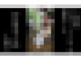 【5日間連続で逆さ撮り】初登場 身長高めなキレイ目美人OLさんのスカートの中