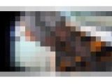 【脚が本体4】柄タイツお姉さん