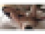 ドスケベ巨乳の隣りの奥さん…File.1